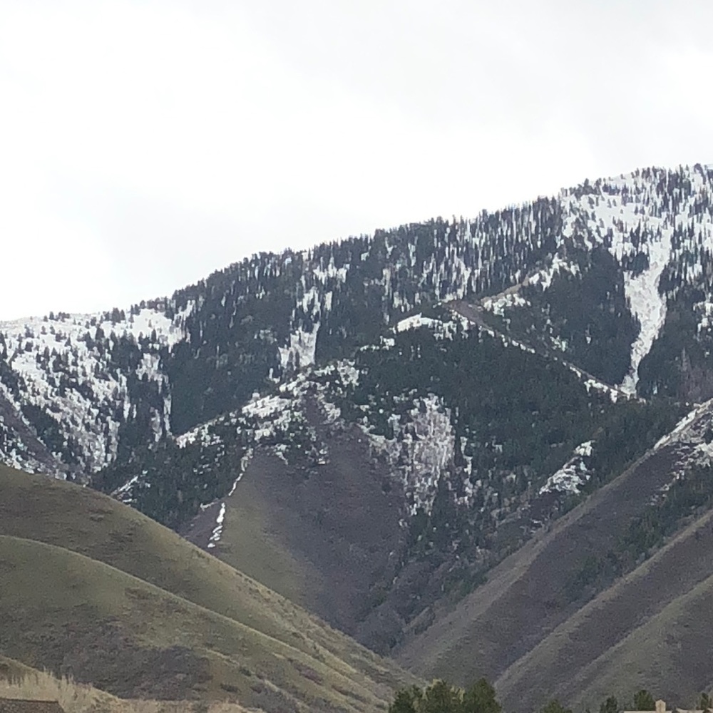 Meet your Posher, Scott